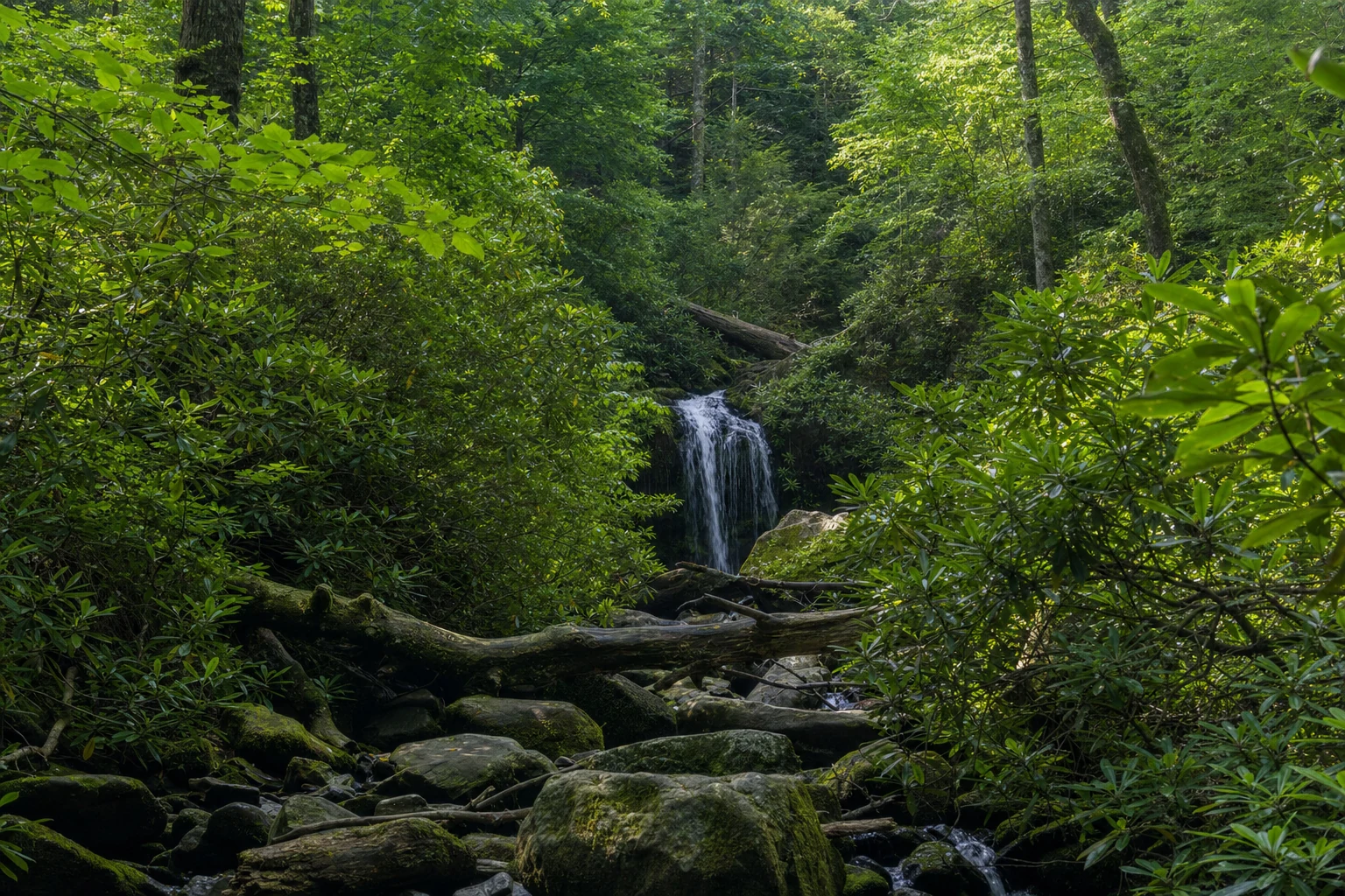 A Romantic Smokies Weekend